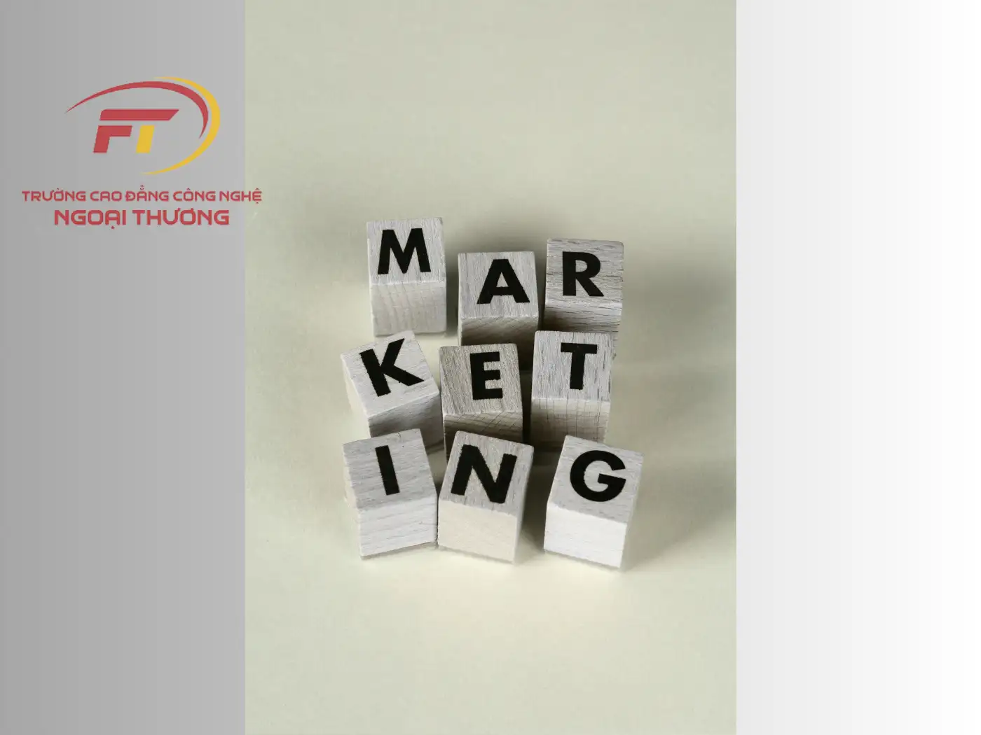 Mảng Marketing 