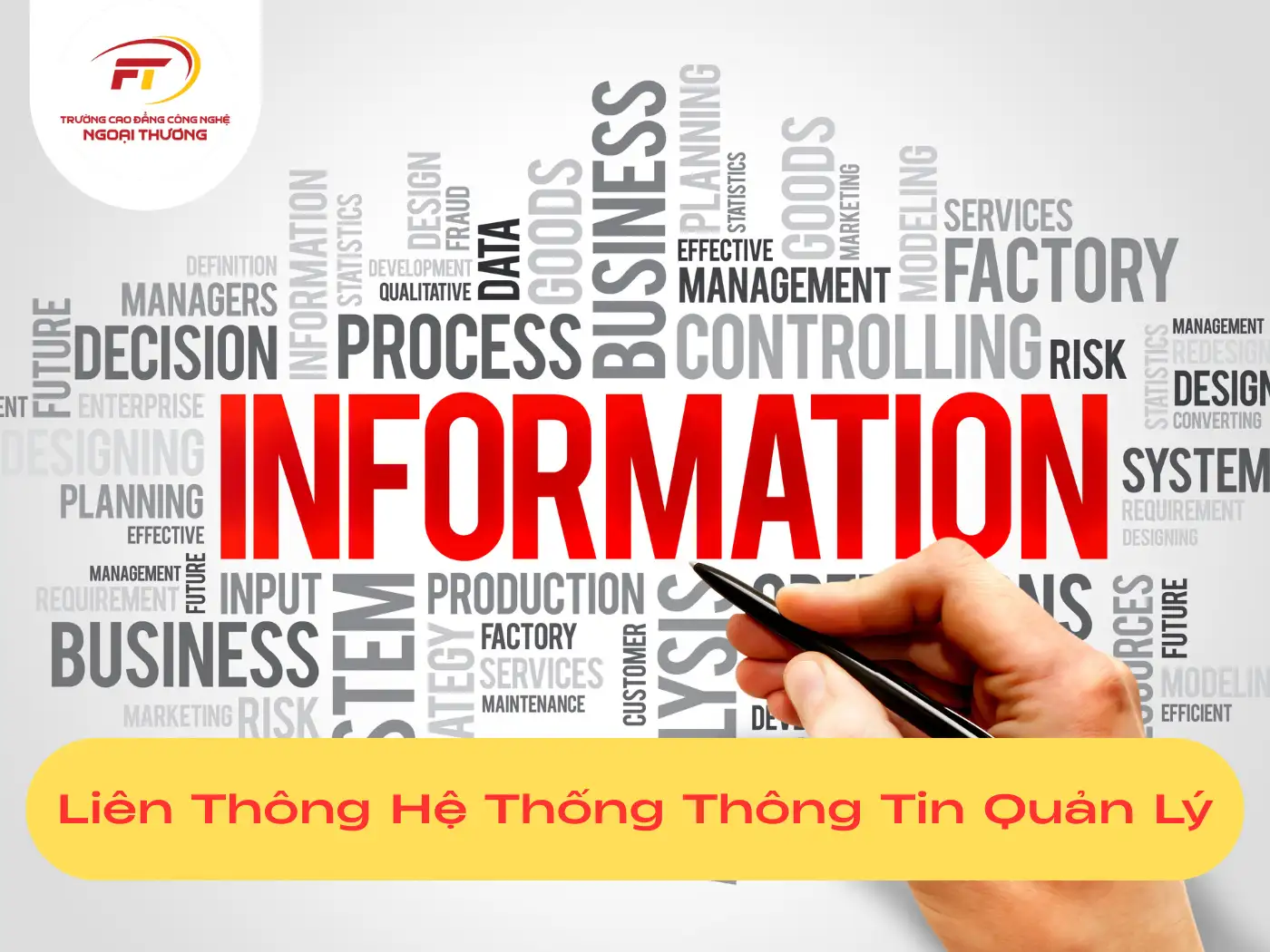 Liên Thông Ngành Hệ Thống Thông Tin Quản Lý